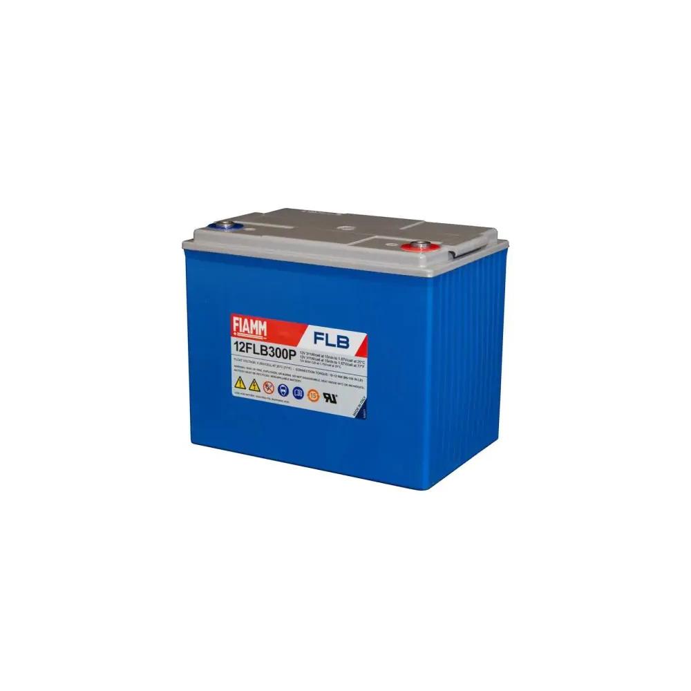 Batterij,FIAMM,12FLB300P,12V 80Ah,M8/18