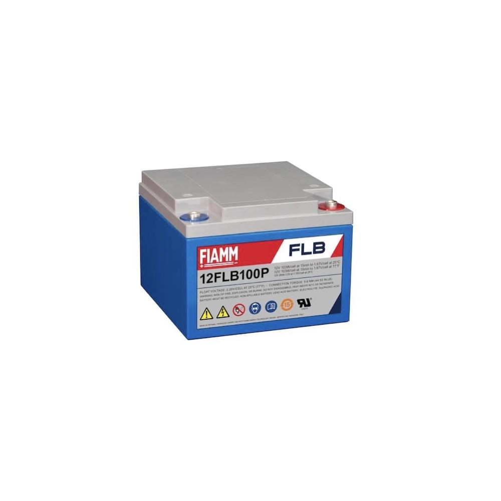 Batterij,FIAMM,12FLB100P,12V 26Ah,M5/12