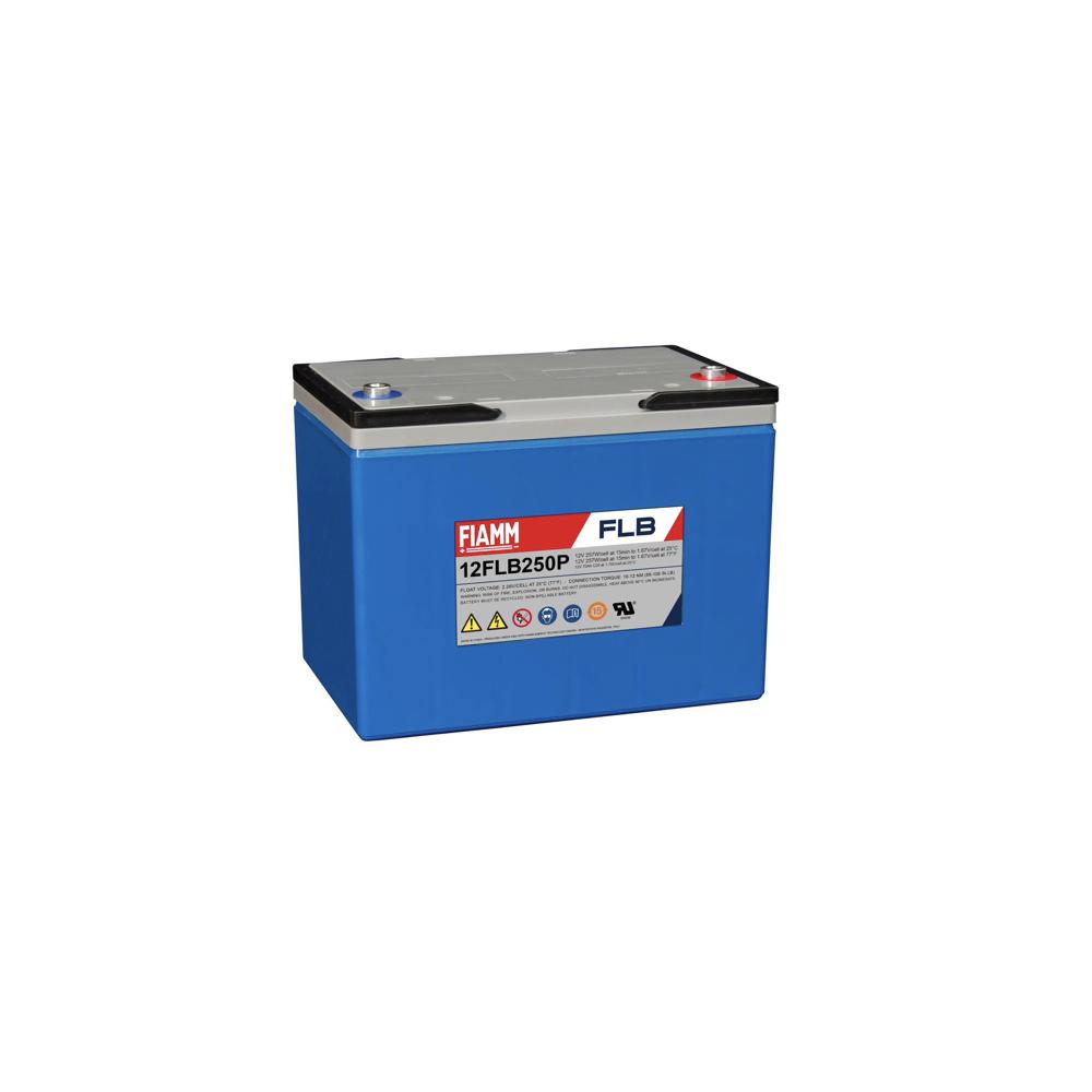 Batterij,FIAMM,12FLB250P,12V 70Ah,M8/18