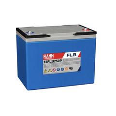 Batterij,FIAMM,12FLB250P,12V 70Ah,M8/18