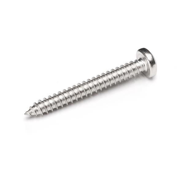 Schroef,BK,RVS A2,5,5x45,DIN7981