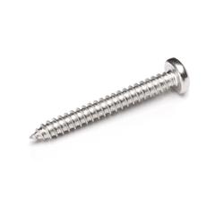 Schroef,BK,RVS A2,5,5x45,DIN7981