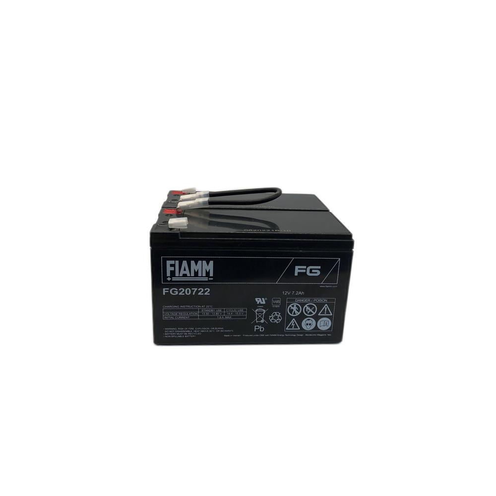 Batterij,FIAMM,24V,v LPM