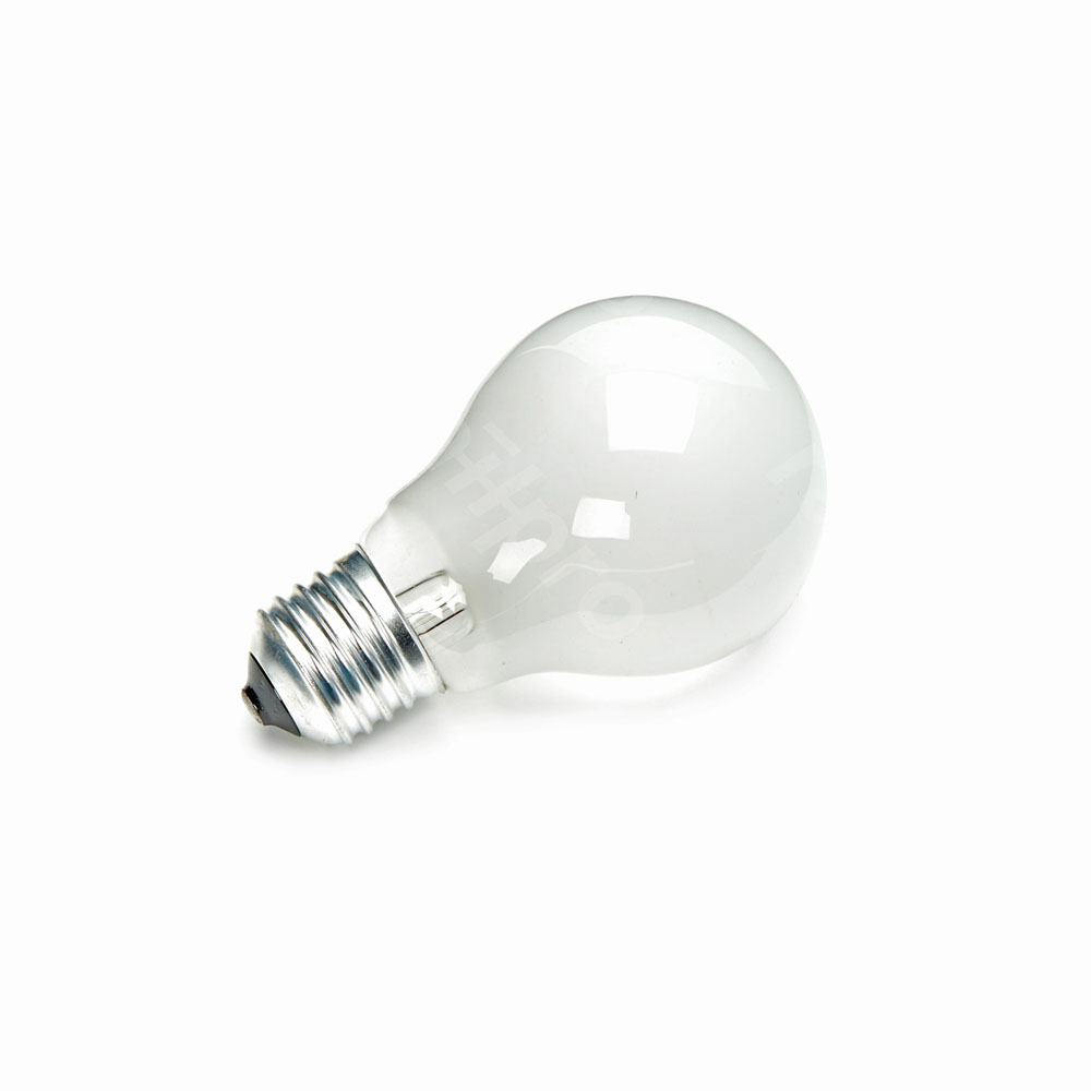Lamp,gloei,E27,mat,100W 220V