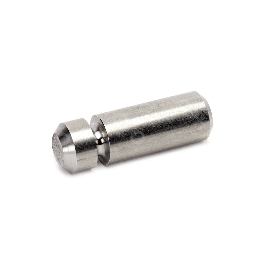 Pennen v isolator