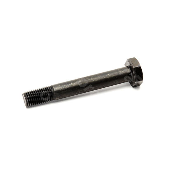 Zeskantbout,m moer,10.9/10,M24x170mm