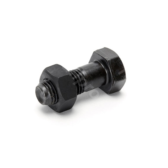 Zeskantbout,m moer,M20x55mm