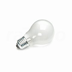 Lamp,gloei,E27,mat,100W 220V