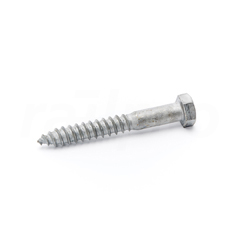 Houtdraadbout,ev 4.6,20x160mm,DIN571