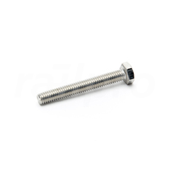 Zeskantbout,RVS A4,M6x45,DIN933