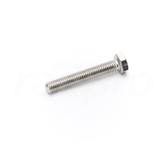 Zeskantbout,RVS A4,M8x50,DIN933