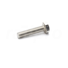 Zeskantbout,RVS A4,M10x45,DIN933