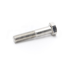 Zeskantbout,RVS A4,M12x60,DIN931
