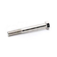 Zeskantbout,RVS A4,M24x190,DIN931