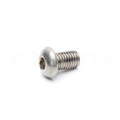Schroef,bk,RVS A4,M10x16
