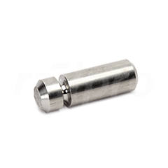 Pennen v isolator